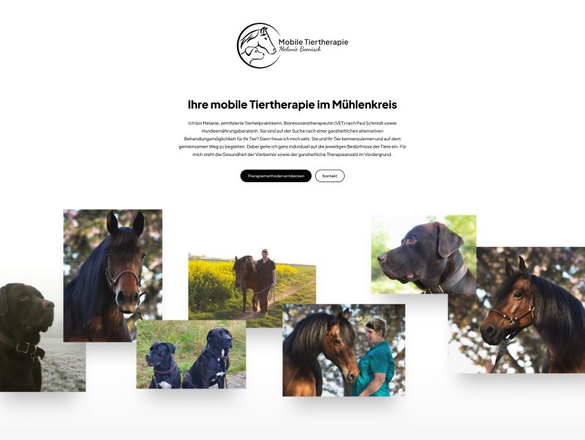 Website-Screenshot von Tiertherapie Melanie Boenisch
